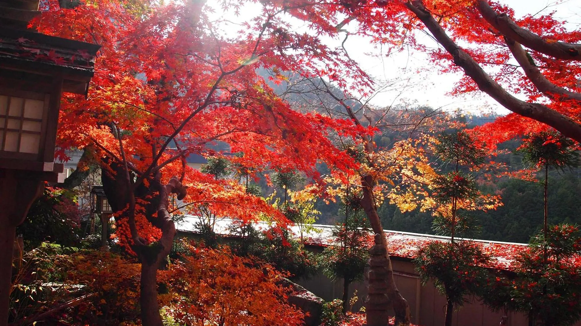 Ryokan Nenrinbo Kyoto Japan